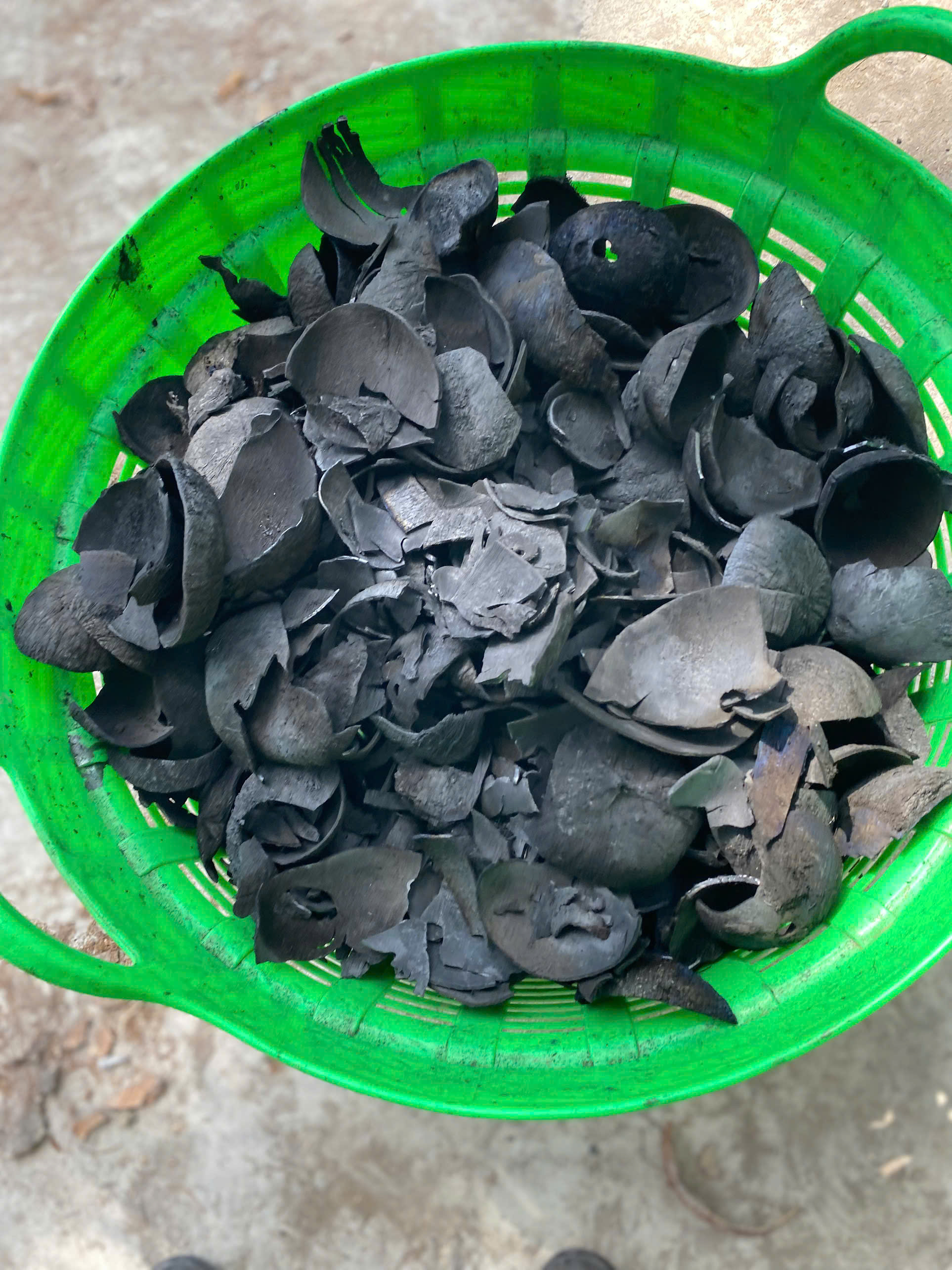 Than sinh học từ gáo dừa (Coconut Shell Biochar)