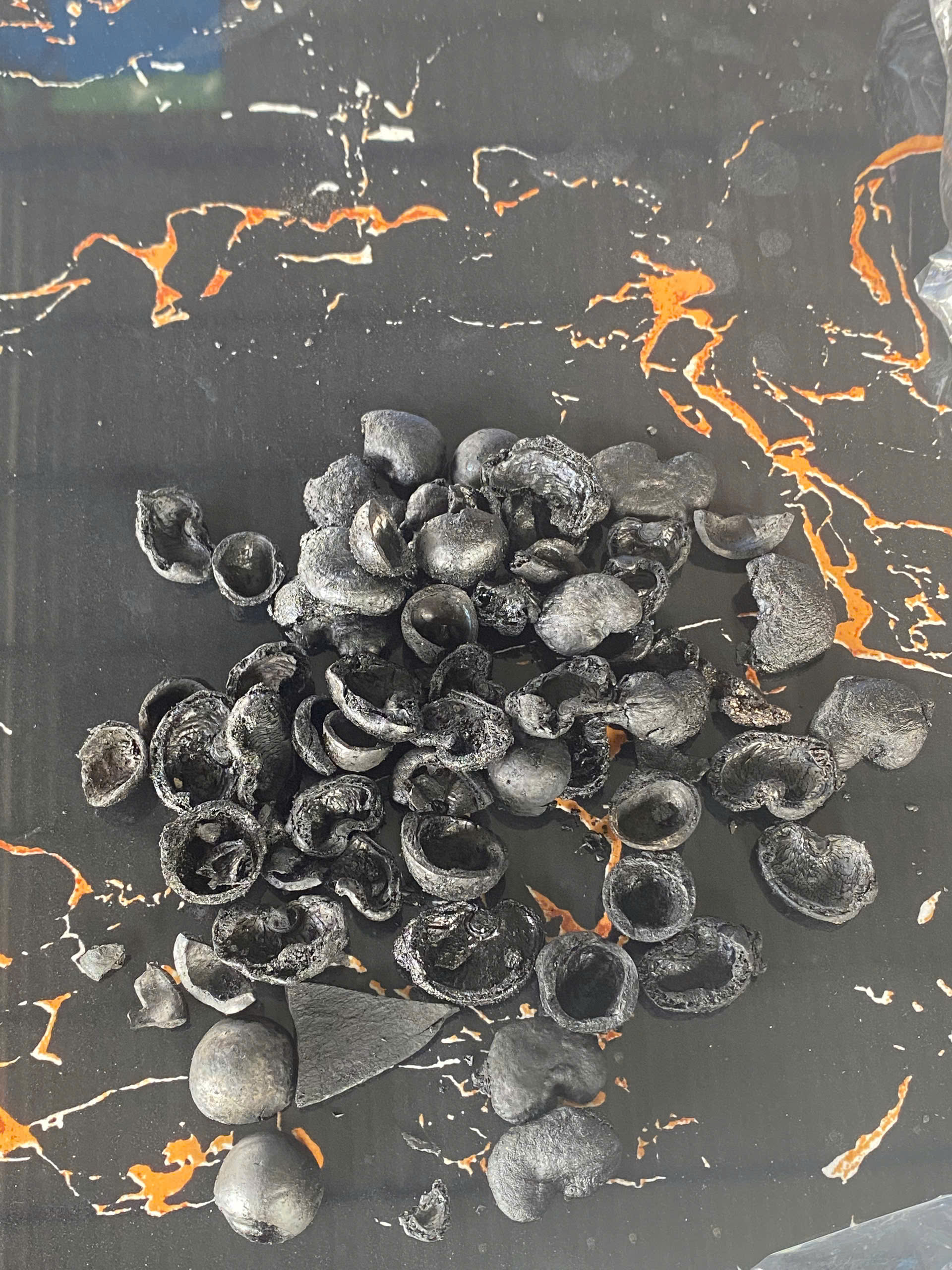 Than sinh học từ vỏ hạt điều (Cashew Shell Biochar)