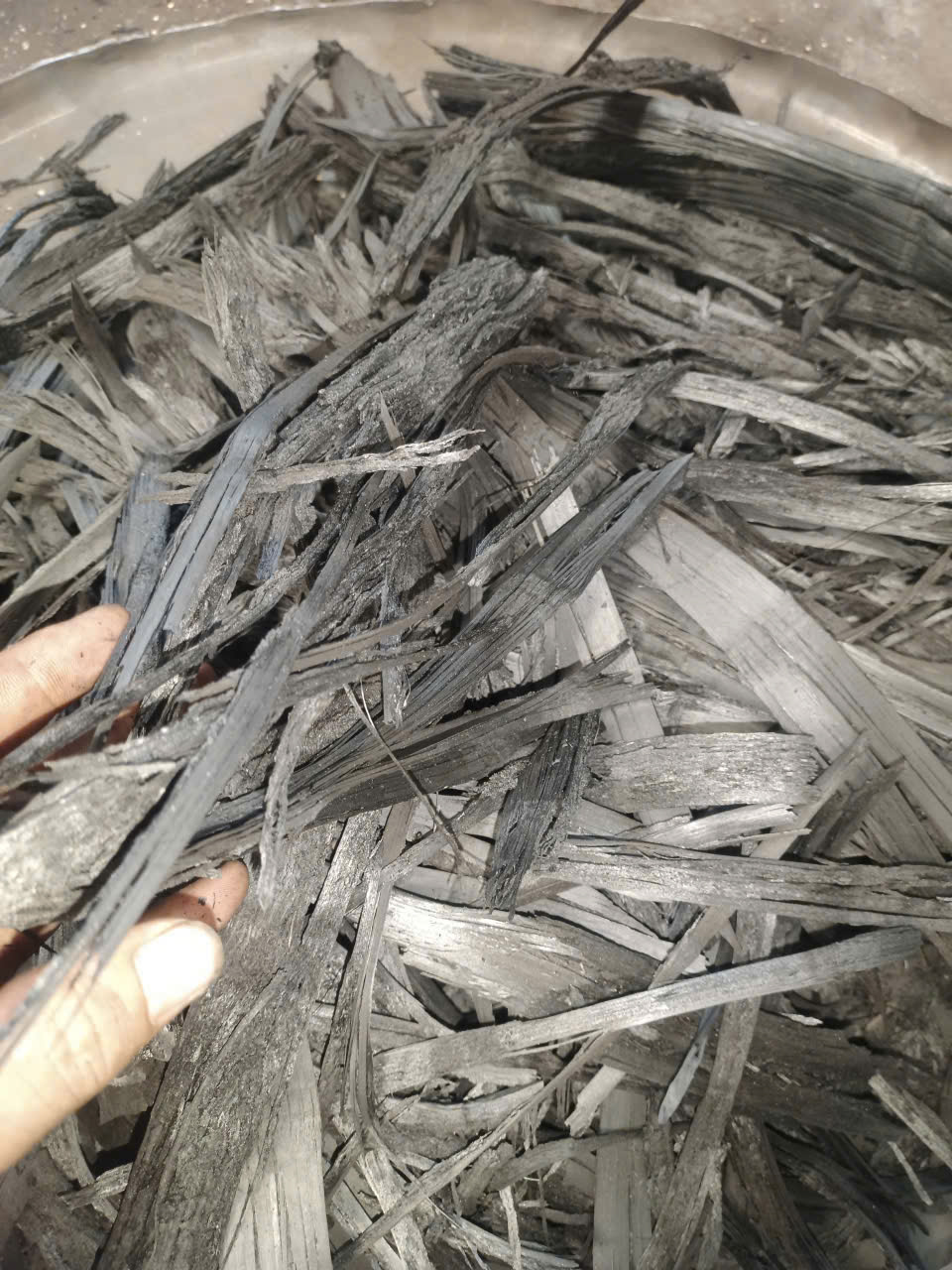 Than sinh học từ bã mía (Sugarcane Bagasse Biochar)