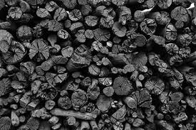 Than củi biochar / GreenChar Wood Biochar