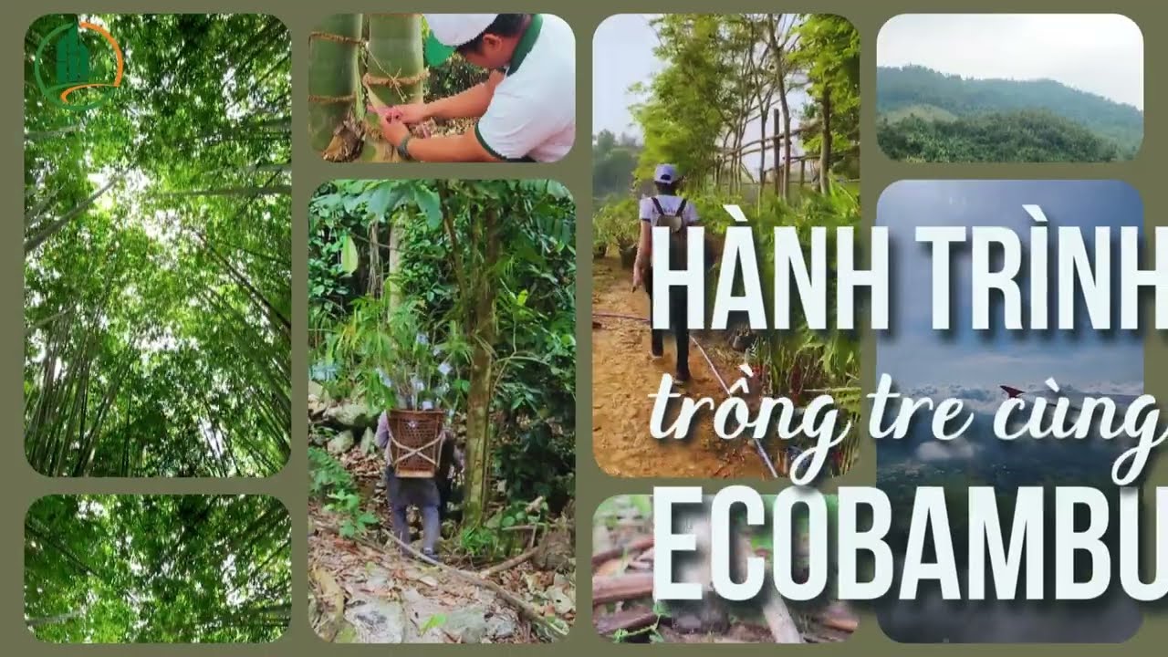 Greenchar Và EcoBambu Đồng Hành Xây Dựng Nền Công Nghiệp Carbon Sinh Học Tại Việt Nam
